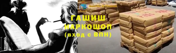 индика Алзамай