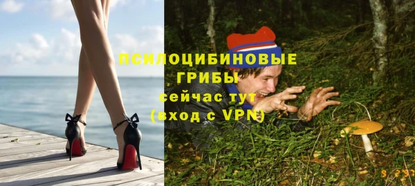 индика Алзамай