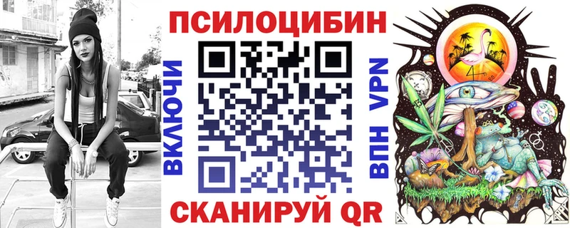 Псилоцибиновые грибы Cubensis  купить  сайты  Нестеров 